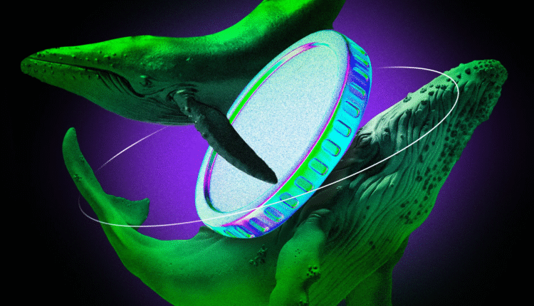 2Z Token Tanks Despite SEC Green Light, Sparking Backlash Over Tokenomics