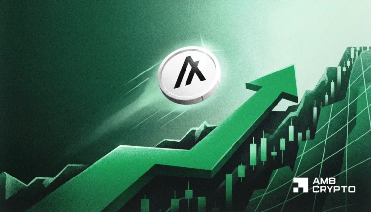 Algorand set to have a bullish breakout this week - Here's why