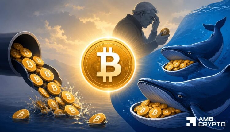 Bitcoin whales counter ETF selling as long-term holders capitulate - What's next?