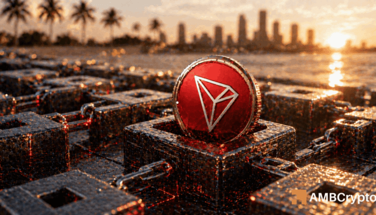 What next after TRON's 53% activity spike? Traders, look out for THIS move!