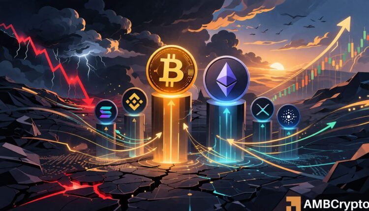 Crypto markets rebound after macro relief as capital returns, but is demand strong enough to sustain the recovery?