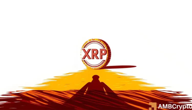 XRP retail returns as whale gap hits 2024 low of 89.3% - Details